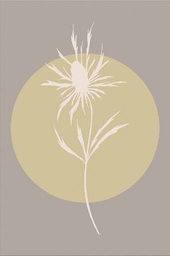 Japandi. Boho botanical thistle flower in gold and taupe no. 4 by Dina Dankers