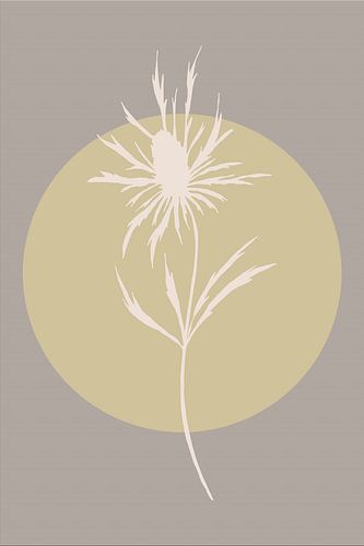 Japandi. Boho botanische distelbloem in goud en taupe nr. 4