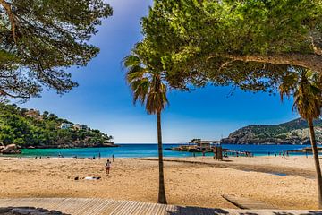 Beautiful sand beach at the seaside bay in Camp de Mar on Mallorca by Alex Winter