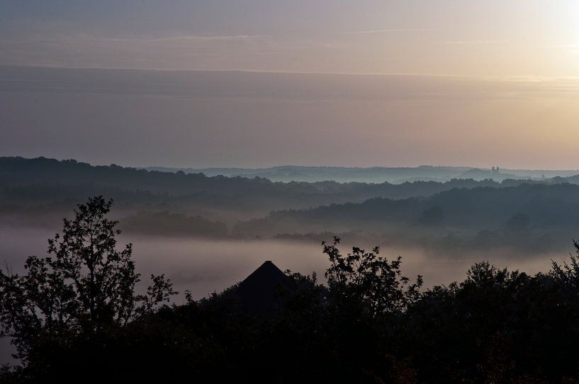 Morgendlicher Nebel in Frankreich von Silva Wischeropp