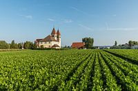 Kirche Sankt Peter und Paul auf der Insel Reichenau