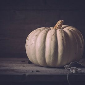 La citrouille blanche sur Regina Steudte | photoGina