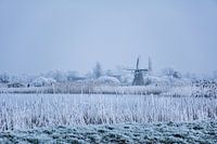 Friesenmühle in Winterlandschaft mit Schlittschuhläufern.