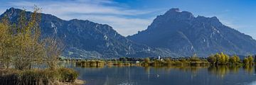 Panorama über den Forggensee an einem sonnigen Oktobertag