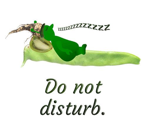 Do not disturb