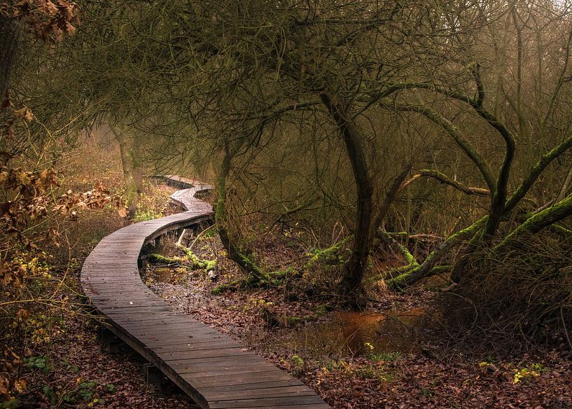 Là où la lumière trouve le chemin par Ben De Winter