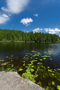 Sommer See