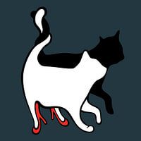 kat op hakken, cat on pumps, high heels, 2 cats, 2 katten, love, liefde