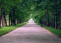Garden of Eden