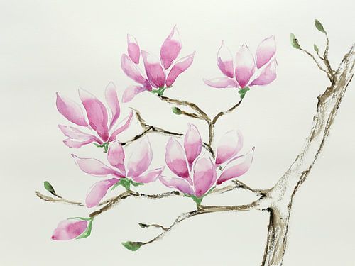 Magnolia in bloei (bloesemtak aquarel schilderij bloemen planten zachte pastel kleuren lente natuur)