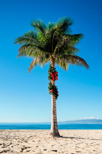 Christmas palm beach