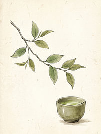 Delicate Matcha Cup Beneath a Graceful Branch of Fresh Tea Leaves by my pixel art