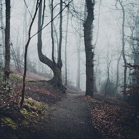 Eerie Forest van Meike Huibers