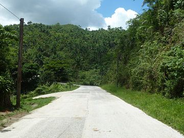 Road to Trinidad van Dionijsius Horik