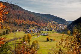 Blick ins Menzenschwander Tal von Alexander Wolff
