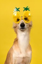 Zomer by Elles Rijsdijk