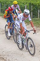 Mathieu van der Poel World Champion at the Tour de France