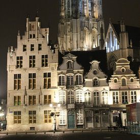 De Sint-Romboutskathedraal bij nacht van Charella Hulsbosch