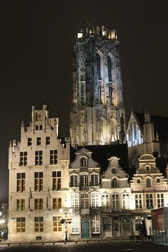 De Sint-Romboutskathedraal bij nacht van Charella Hulsbosch