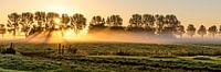 Paysage de polder néerlandais