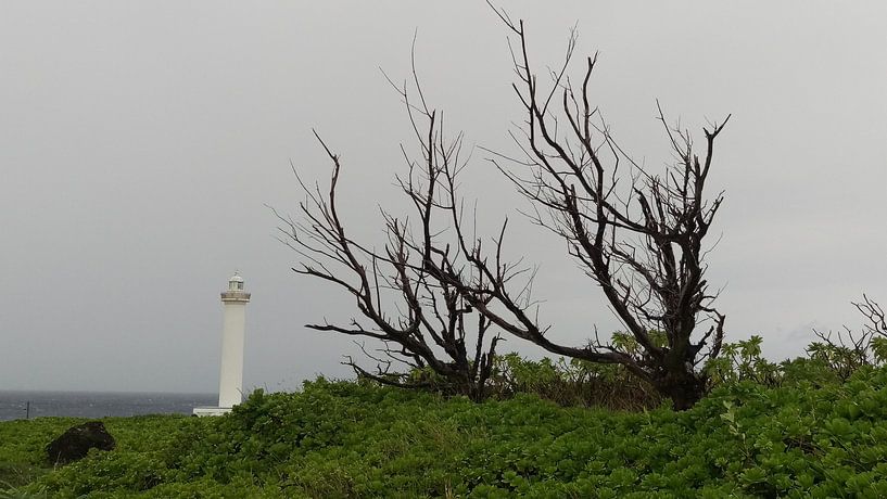 Cape Zanpa - Okinawa - West Coast von Daniel Chambers