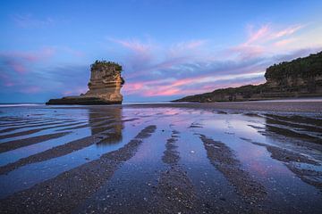 New Zealand Punakaiki Beach Sunrise by Jean Claude Castor