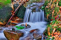Stream in the Black Forest