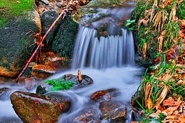Ruisseau dans la Forêt-Noire sur Dieter Fischer