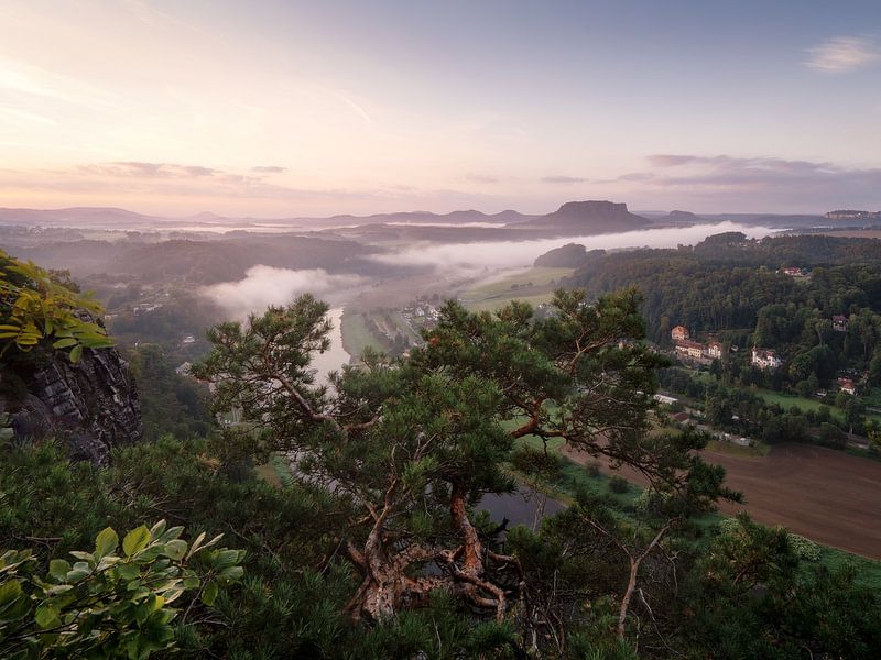 Eine atemberaubende Aussicht auf die Elbe von Patrick Noack