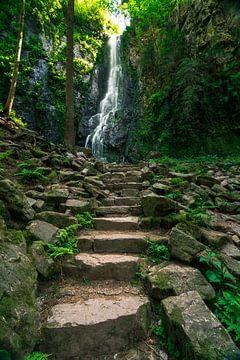 The stairs to the Burgbach waterfall by Christian Klös