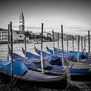 VENICE Grand Canal and St Mark's Campanile by Melanie Viola thumbnail