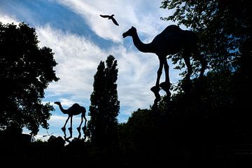 Silhouette von Kamelen gegen blauen Himmel von Chihong