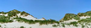 Sanddünen mit Dünengras in Meeresnähe an einem Sommertag von Sjoerd van der Wal Fotografie