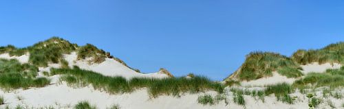 Duinen met duingras bij de zee op een zomerse dag