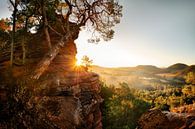 Pfälzer Wald zum Sonnenaufgang von Voss Fine Art Fotografie Miniaturansicht