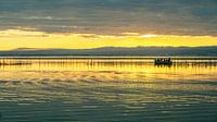 Op het meer  van Albufera van Truus Nijland thumbnail
