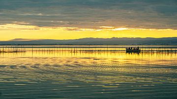 Sur le lac Albufera sur Truus Nijland