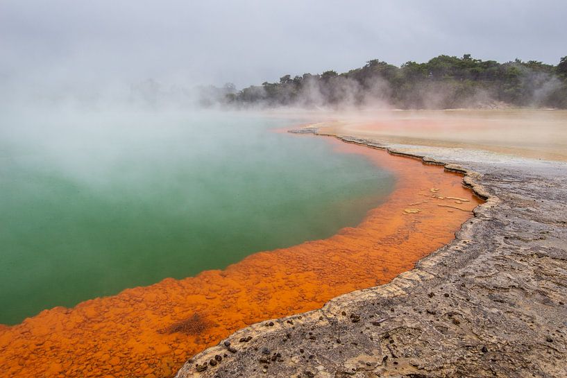 Wai-O-Tapu Thermal Wonderland by Ronne Vinkx