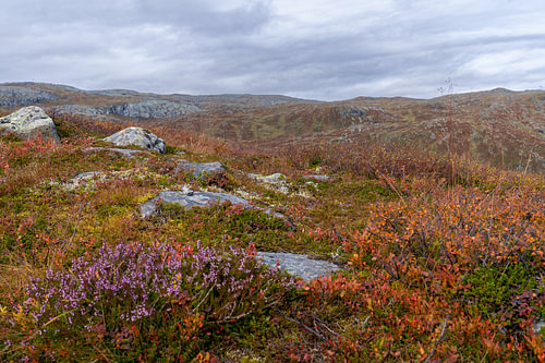 Norwegische Hochebene
