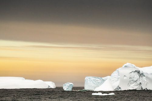 IJsbergen rondom South Georgia