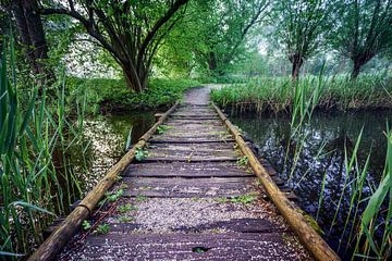 Pont dans le Heempark Delft sur Mario Brussé Fotografie