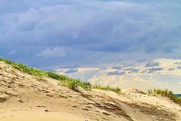 des dunes de sable dans le ciel.... sur Micky Bish