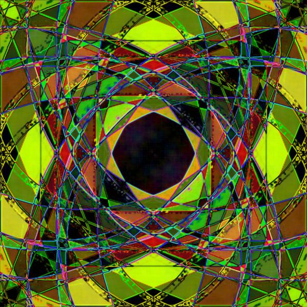 FIORI.1.2 van rita sacco