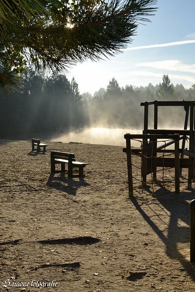 Morgennebel von Simone van der Heide