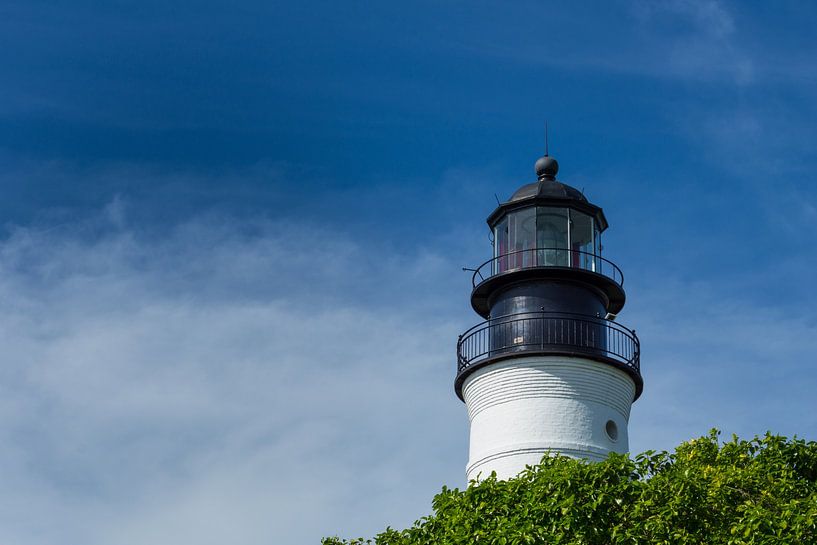 Verenigde Staten, Florida, Oude vuurtoren achter groene bladeren van een boom van adventure-photos