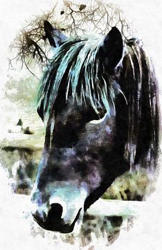Horse Spirit Guide