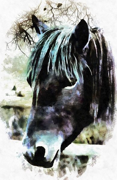 Horse Spirit Guide by Dorothy Berry-Lound