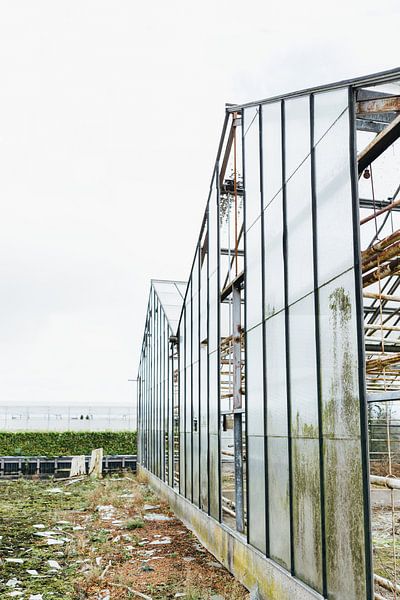 Das verlorene Gewächshaus von Studio kleine vos