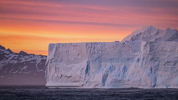 Colourful South Georgia by Koen Hoekemeijer