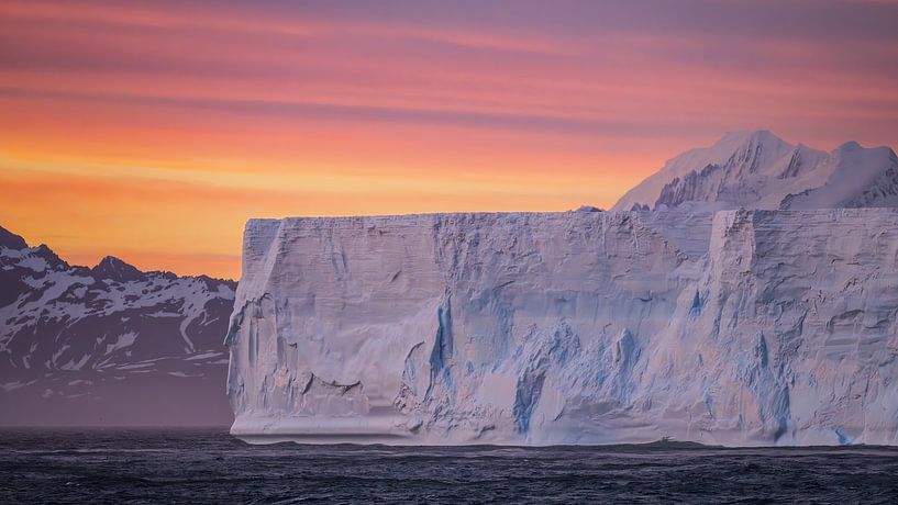 Colourful South Georgia by Koen Hoekemeijer